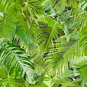 Саратовские Обои Эквадор С31-023В 05